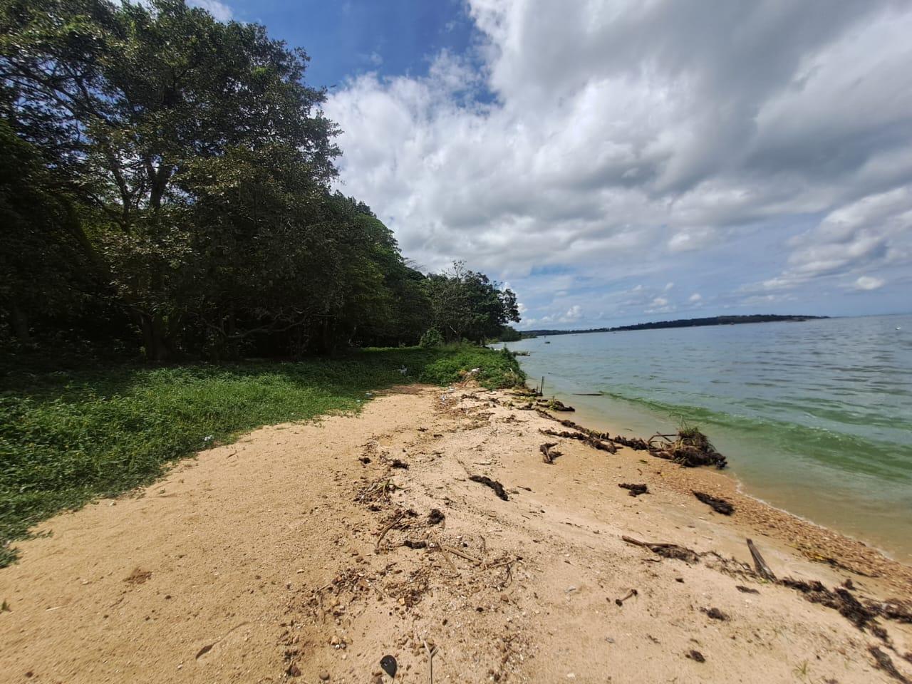 Land for sale photo 1