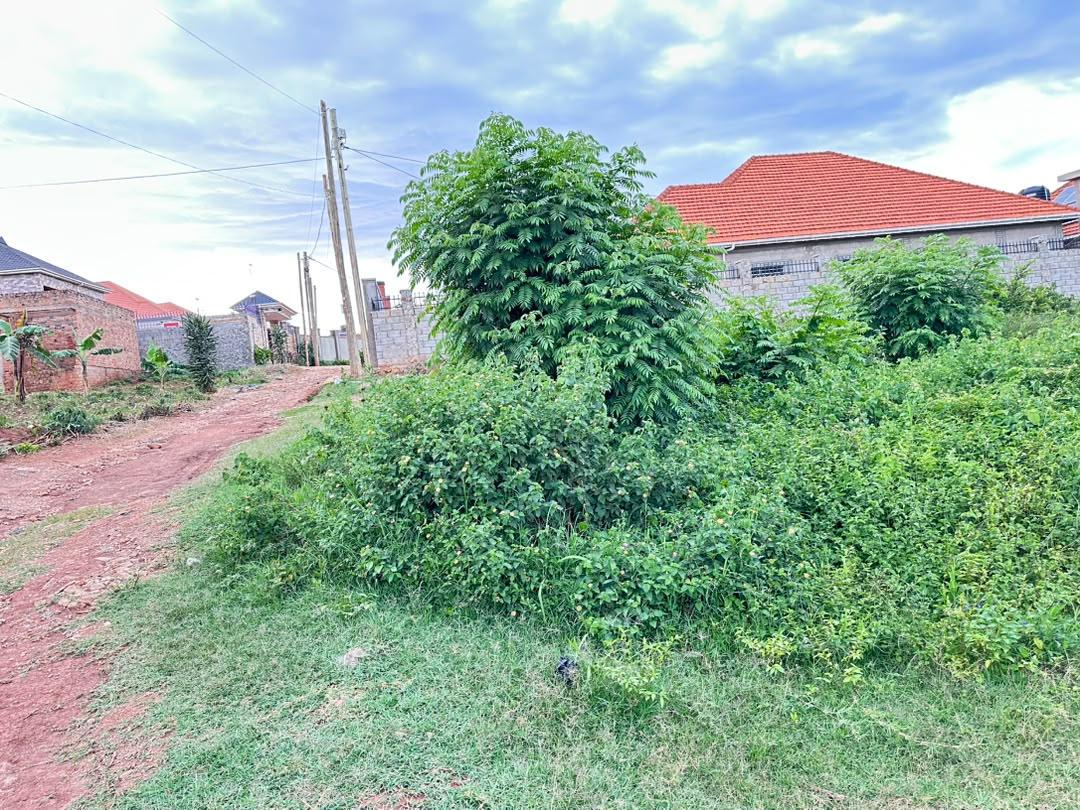 Land for sale photo 1