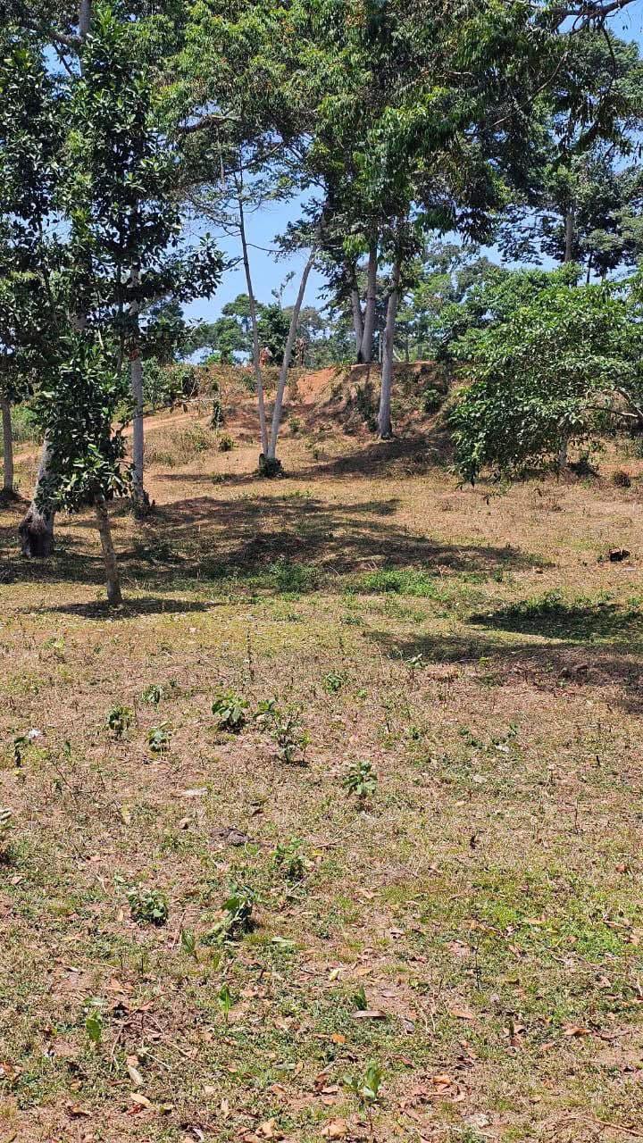 Land for sale photo 1