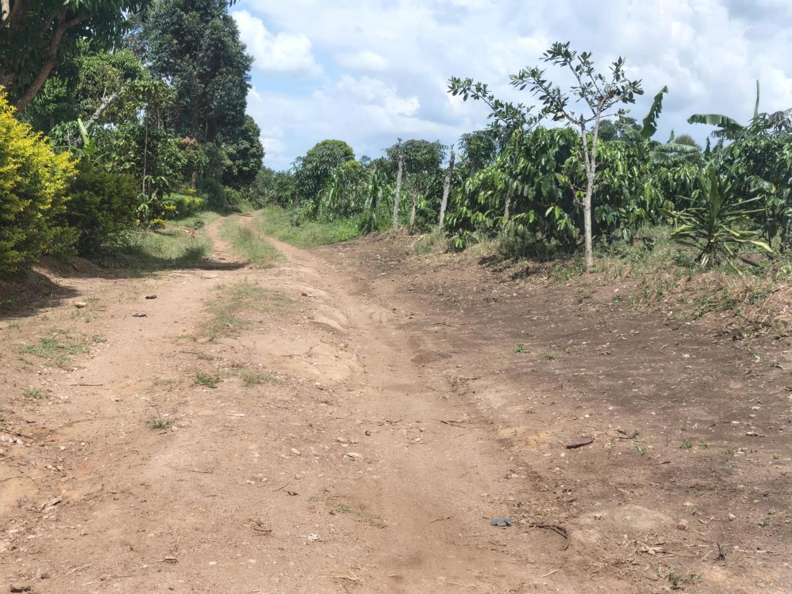 6 acres for sale photo 1