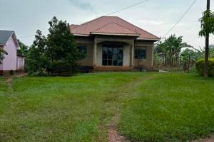 3 bedrooms 2 bath photo 2